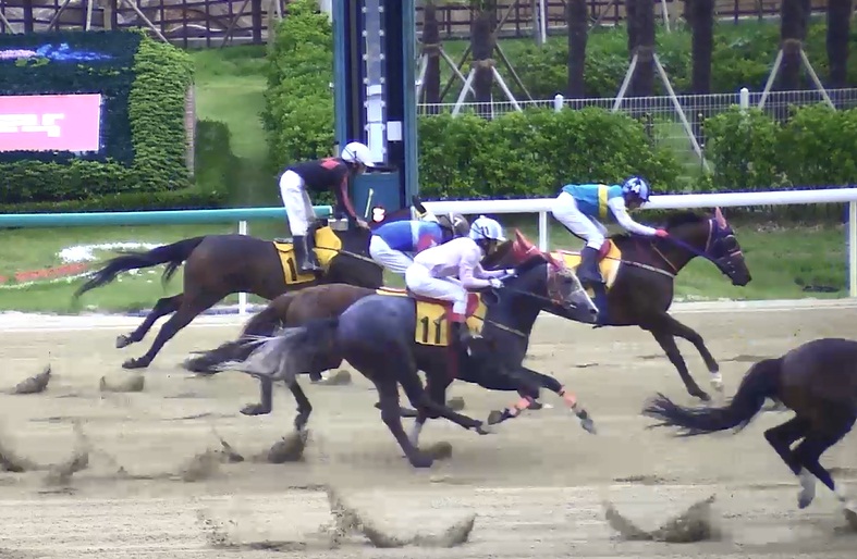 Racecourse Park's video replay system